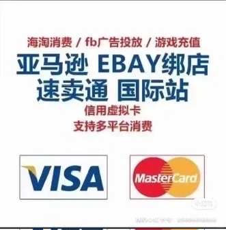 白鲸出海展