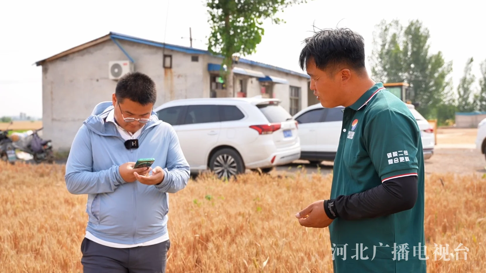 麦浪里的河北 | 我们在麦田里拿到毕业证