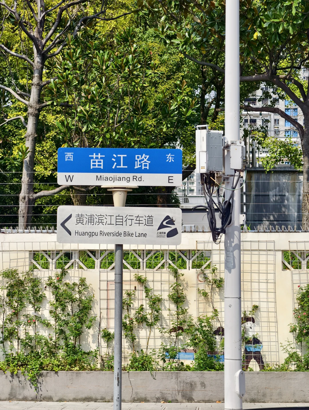 免费新展|这个展很好玩