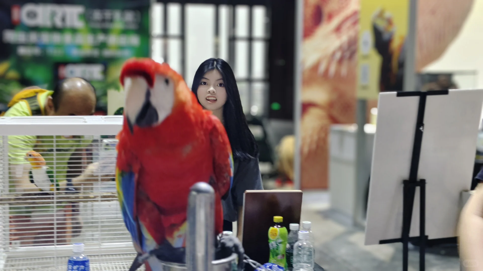 从本次世宠会广州展看宠物行业的发展趋势