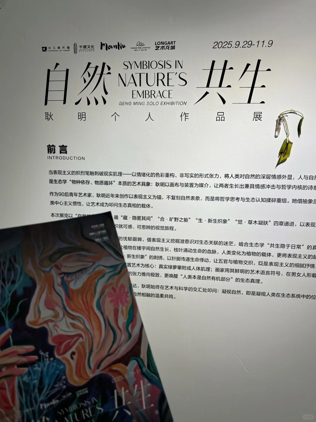 观我旧往,同我仰春|太原新展