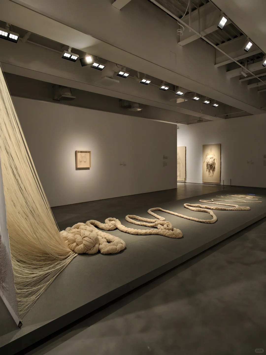 免费新展|这个展很好玩