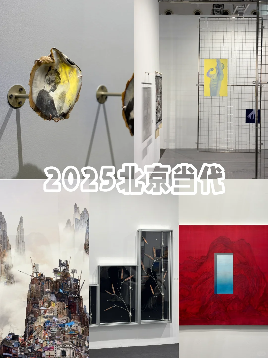 北京生活 / 2025北京当代 看看我喜欢的作品