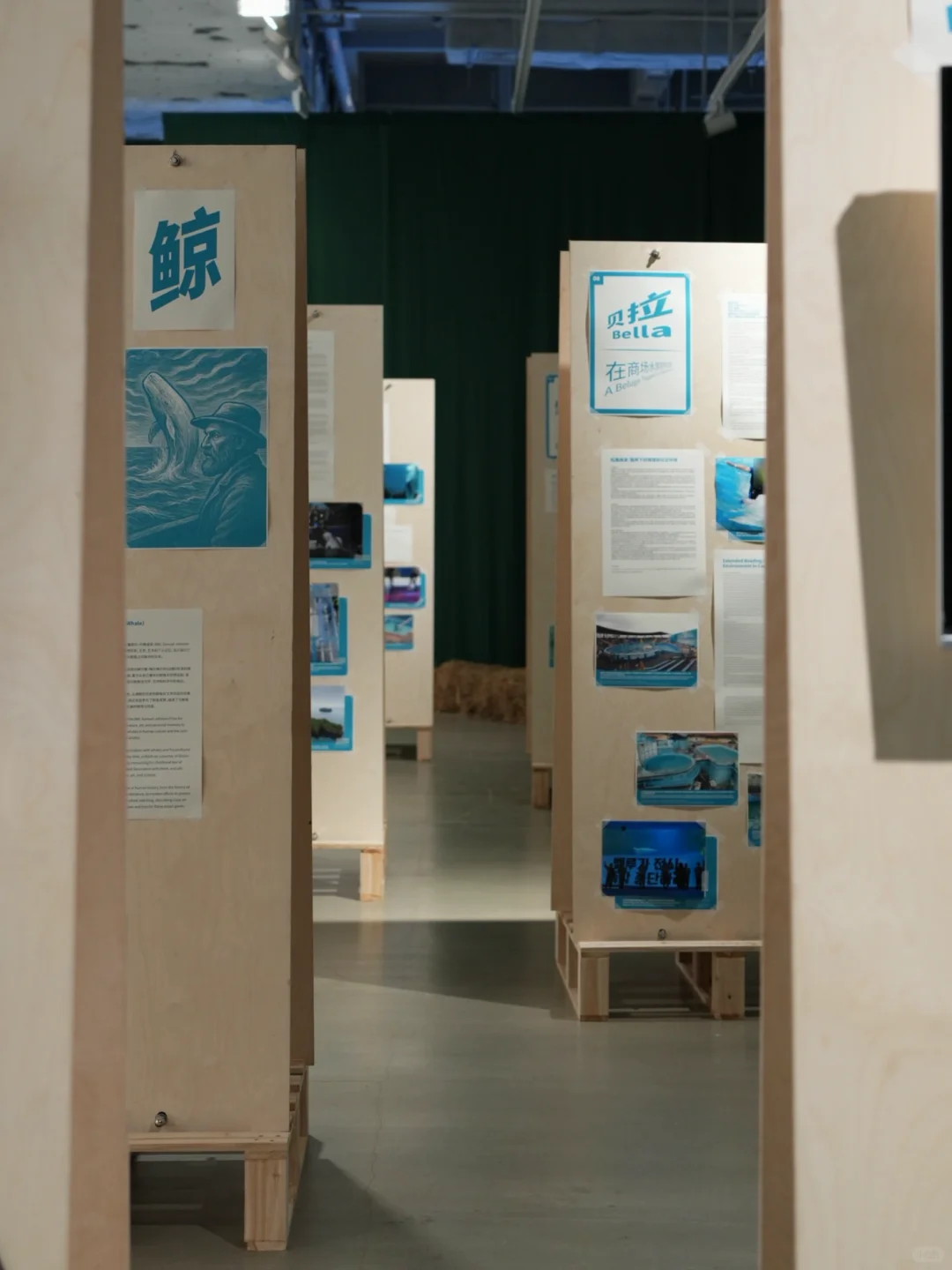 深圳新展|华侨城一馆两展!附攻略✔️