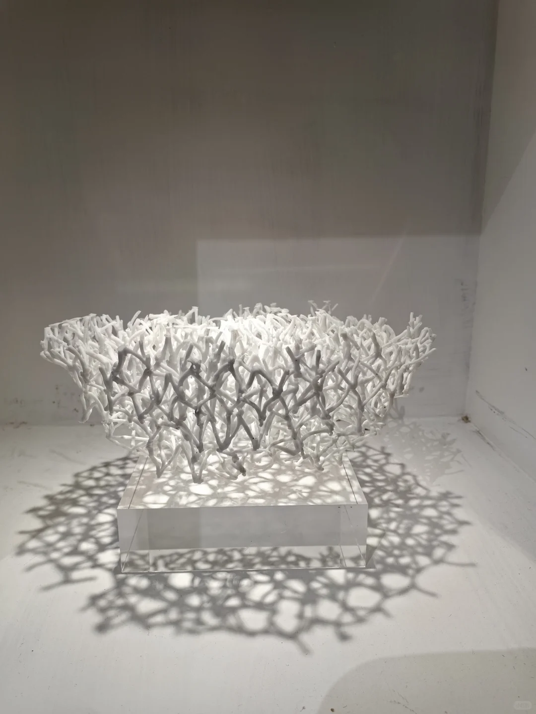 2025中国美院毕业展