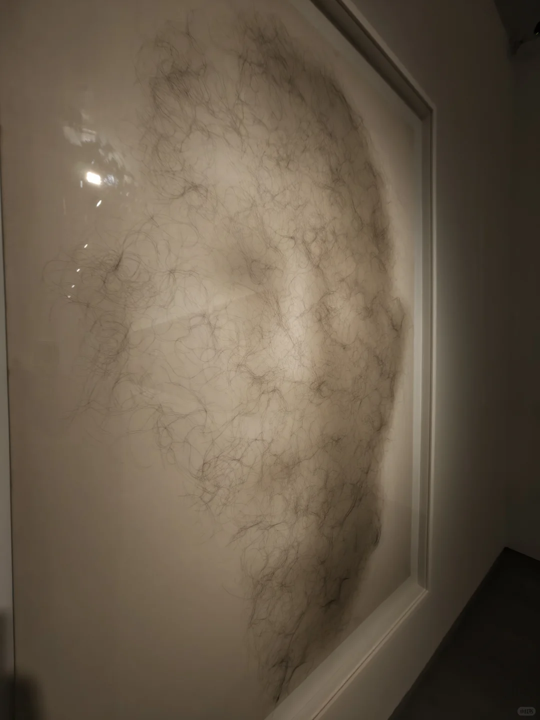 免费新展|这个展很好玩