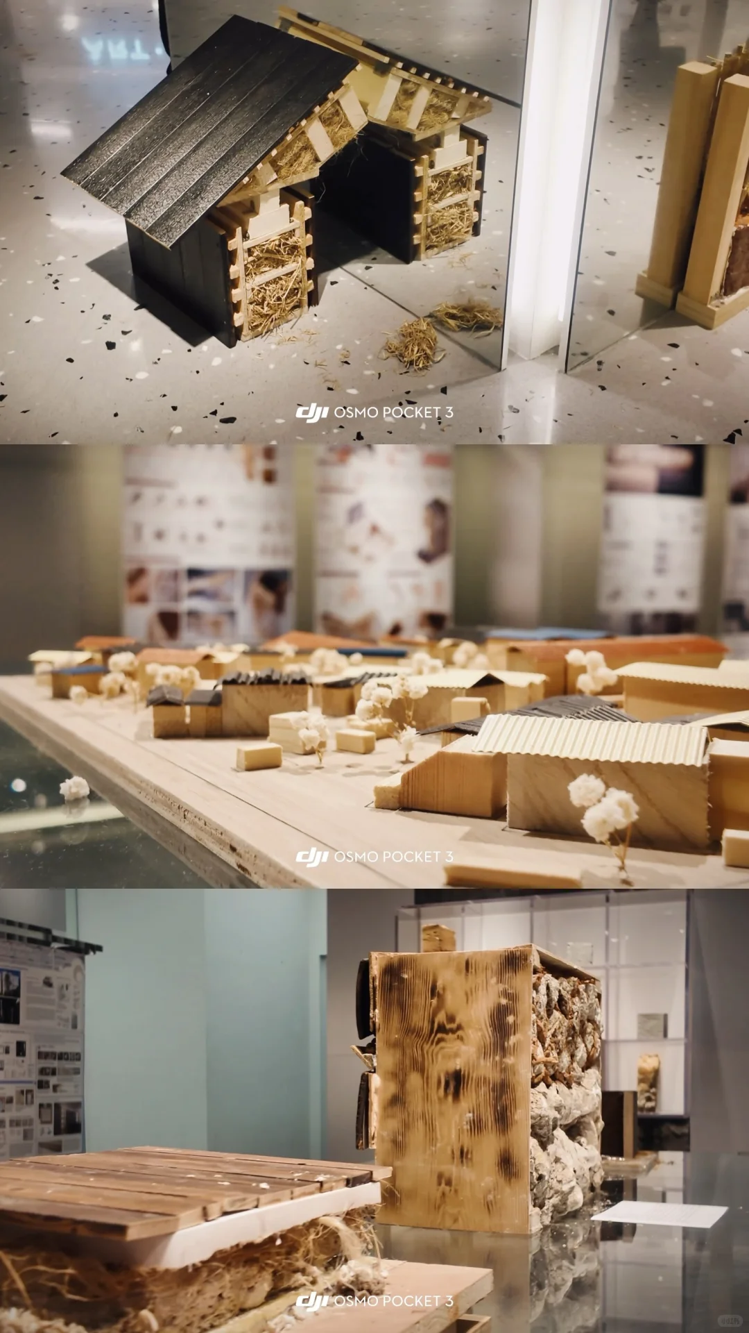?厦门大学设计展｜跨文化视野下的在地重构