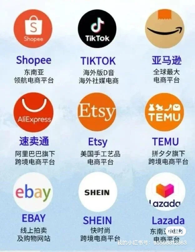 白鲸出海展