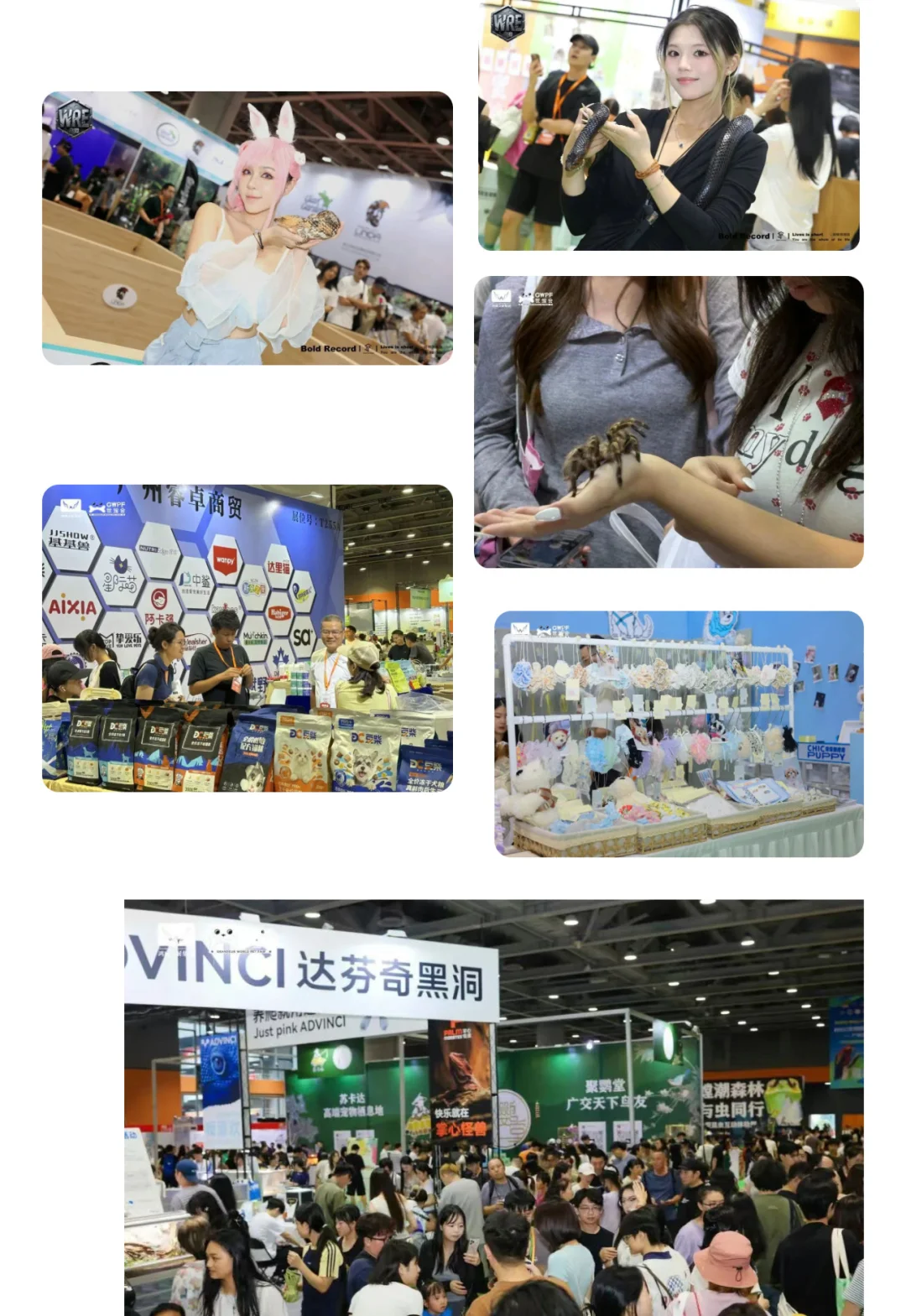 ?2025长沙世宠会门票23啦?来逛展薅宠粮~