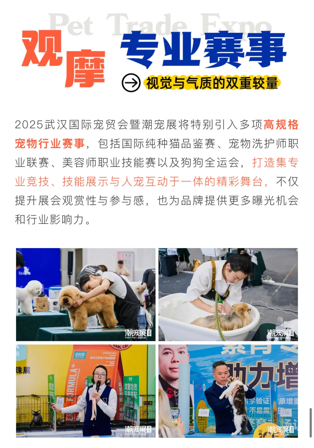 2025武汉国际宠贸会暨潮宠展门票来啦❗️