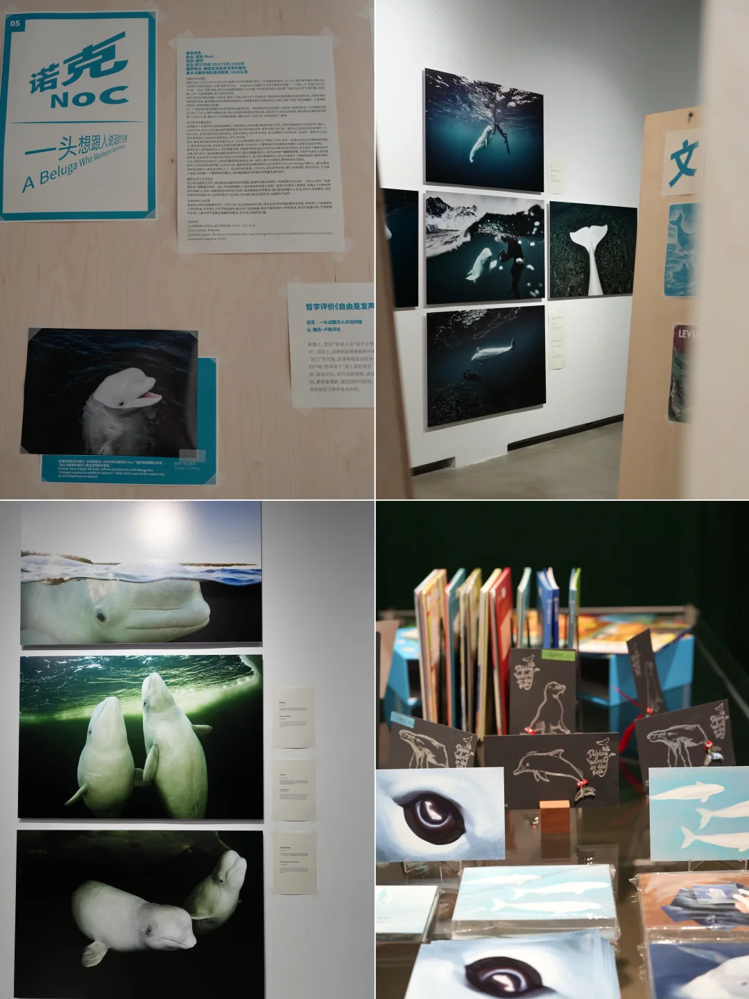 深圳新展|华侨城一馆两展!附攻略✔️
