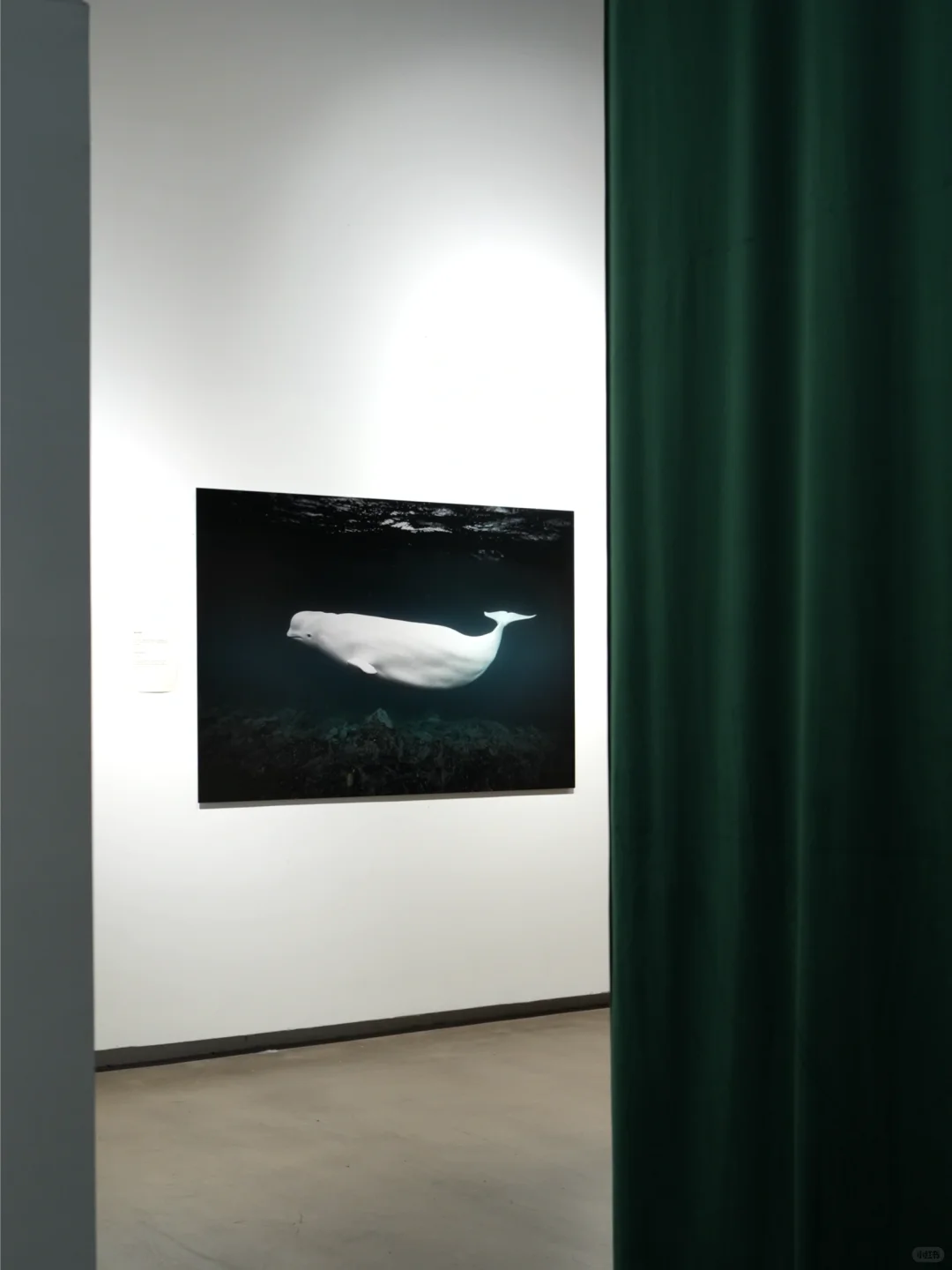 深圳新展|华侨城一馆两展!附攻略✔️