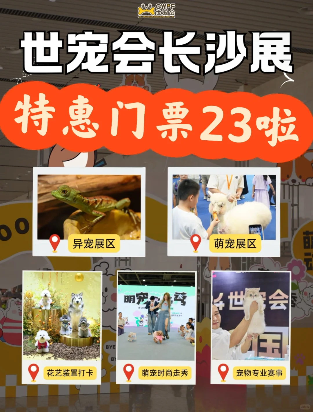 ?2025长沙世宠会门票23啦?来逛展薅宠粮~