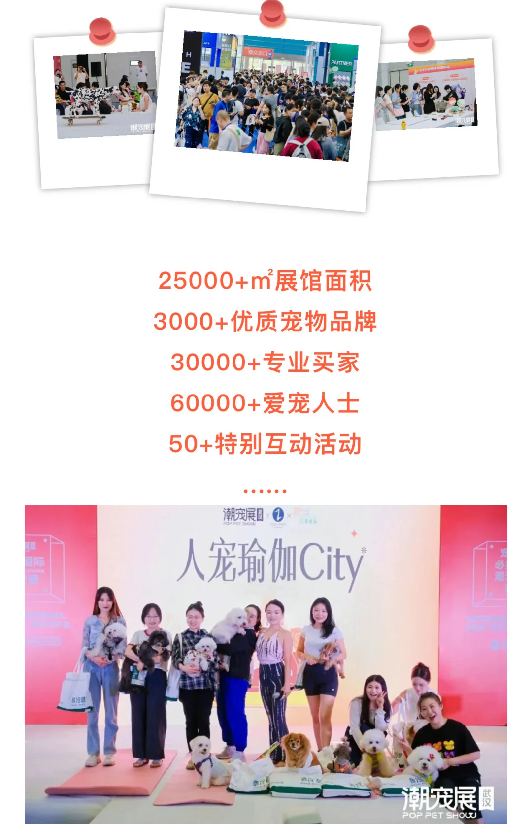2025武汉国际宠贸会暨潮宠展门票来啦❗️