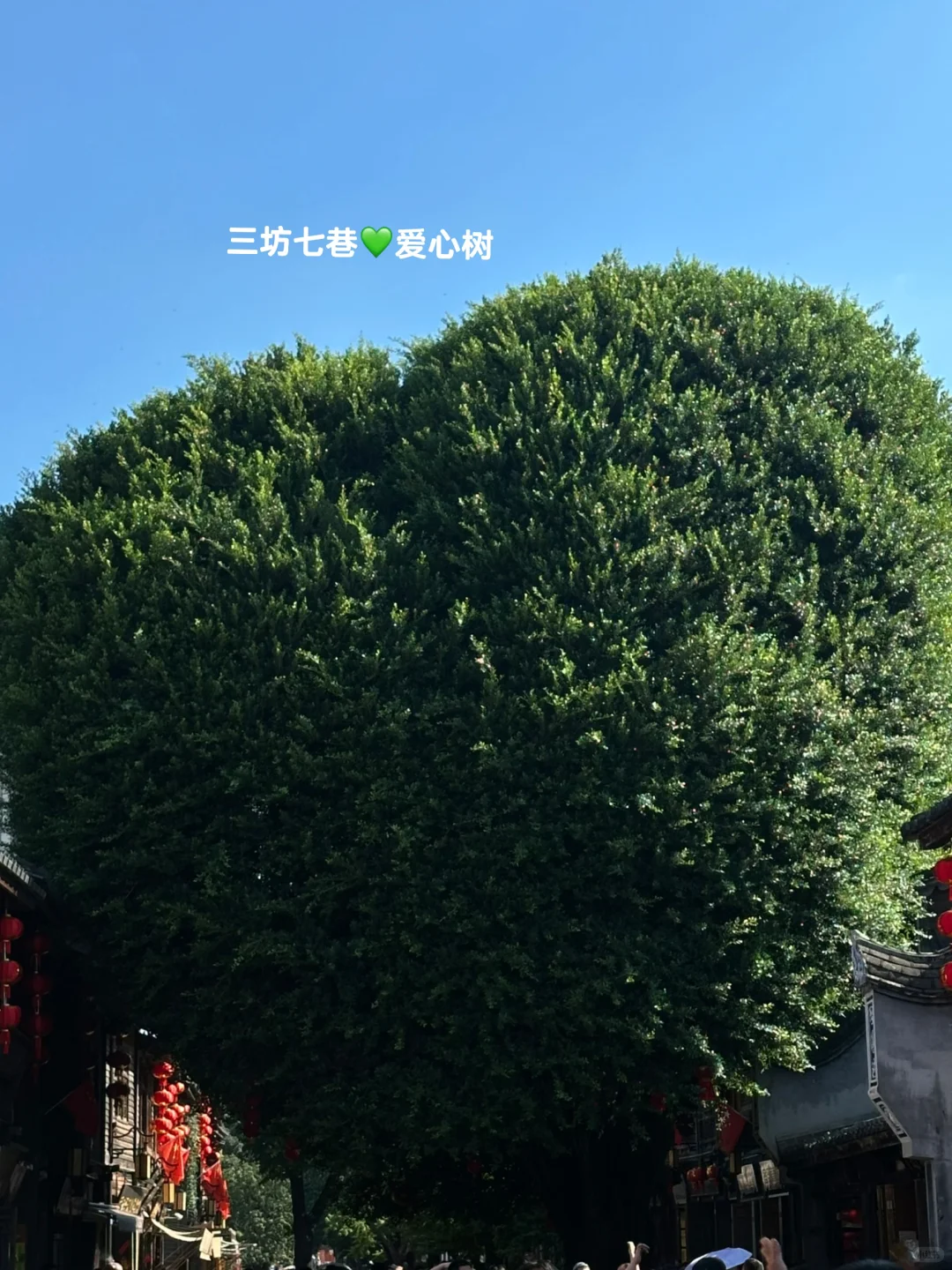 福州慢游一日?路线推荐