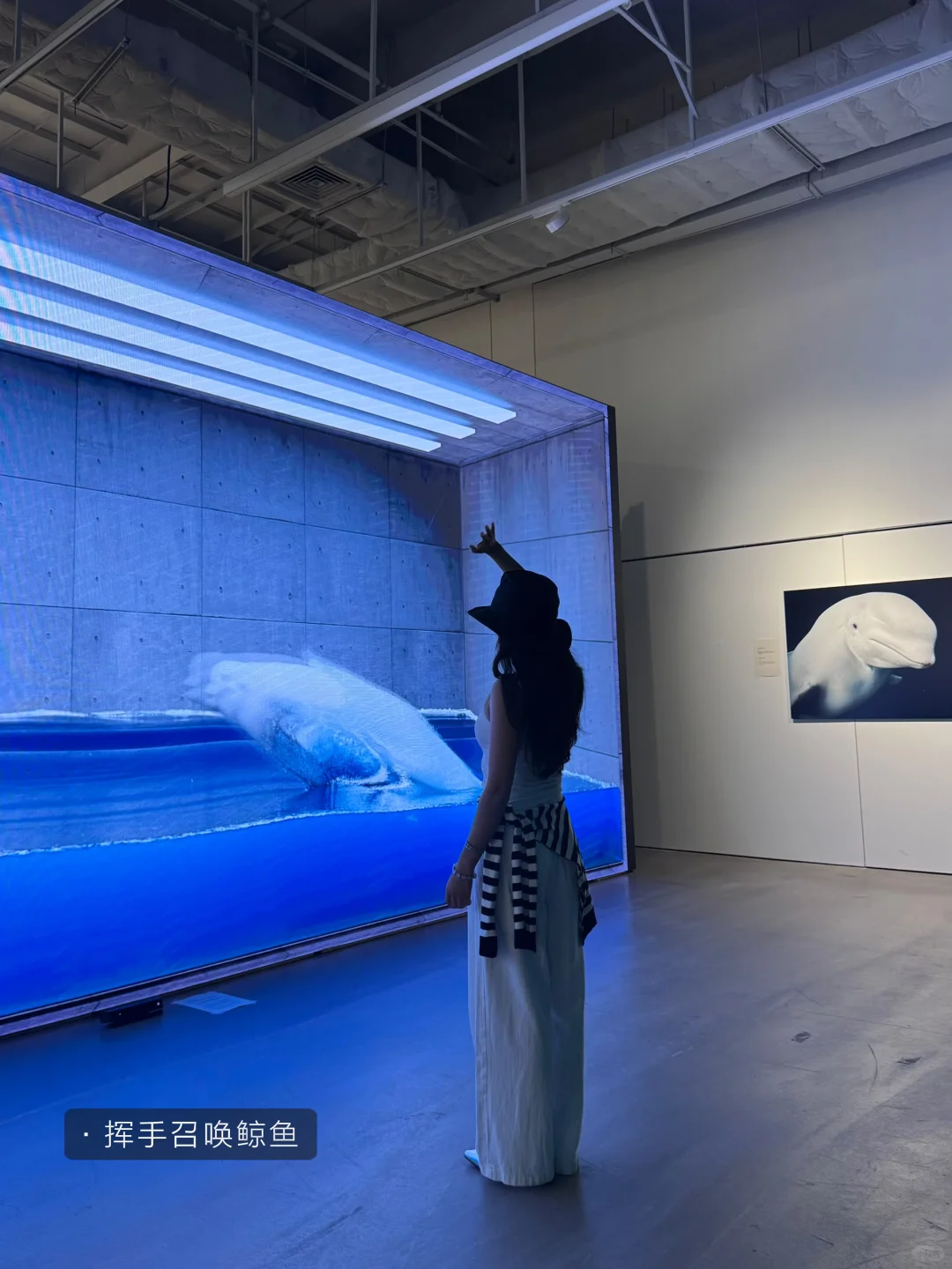 深圳新展|华侨城一馆两展!附攻略✔️