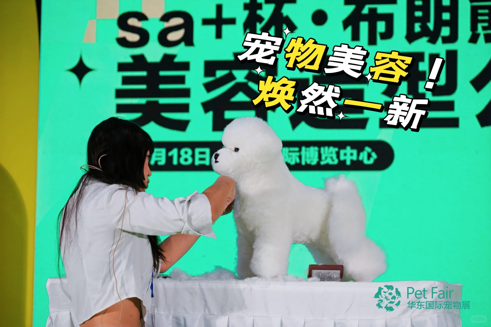 ??华东宠物展来袭！杭州宠友狂欢预警