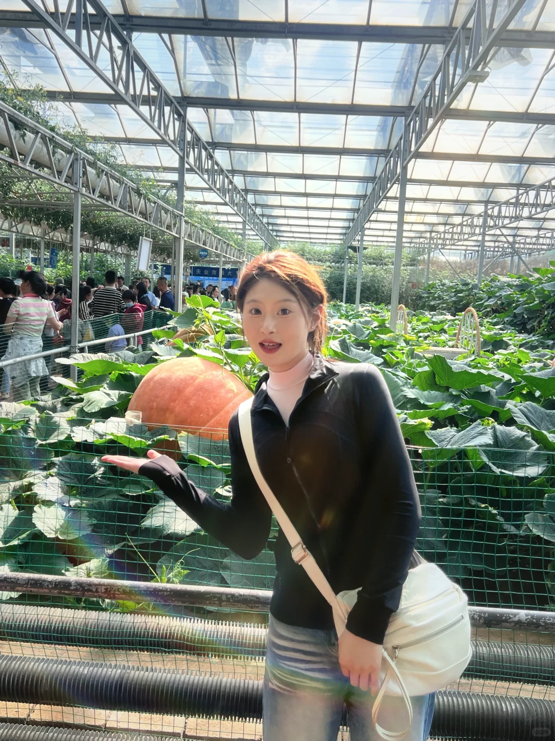?2025年 寿光菜博会～ 来打卡咯