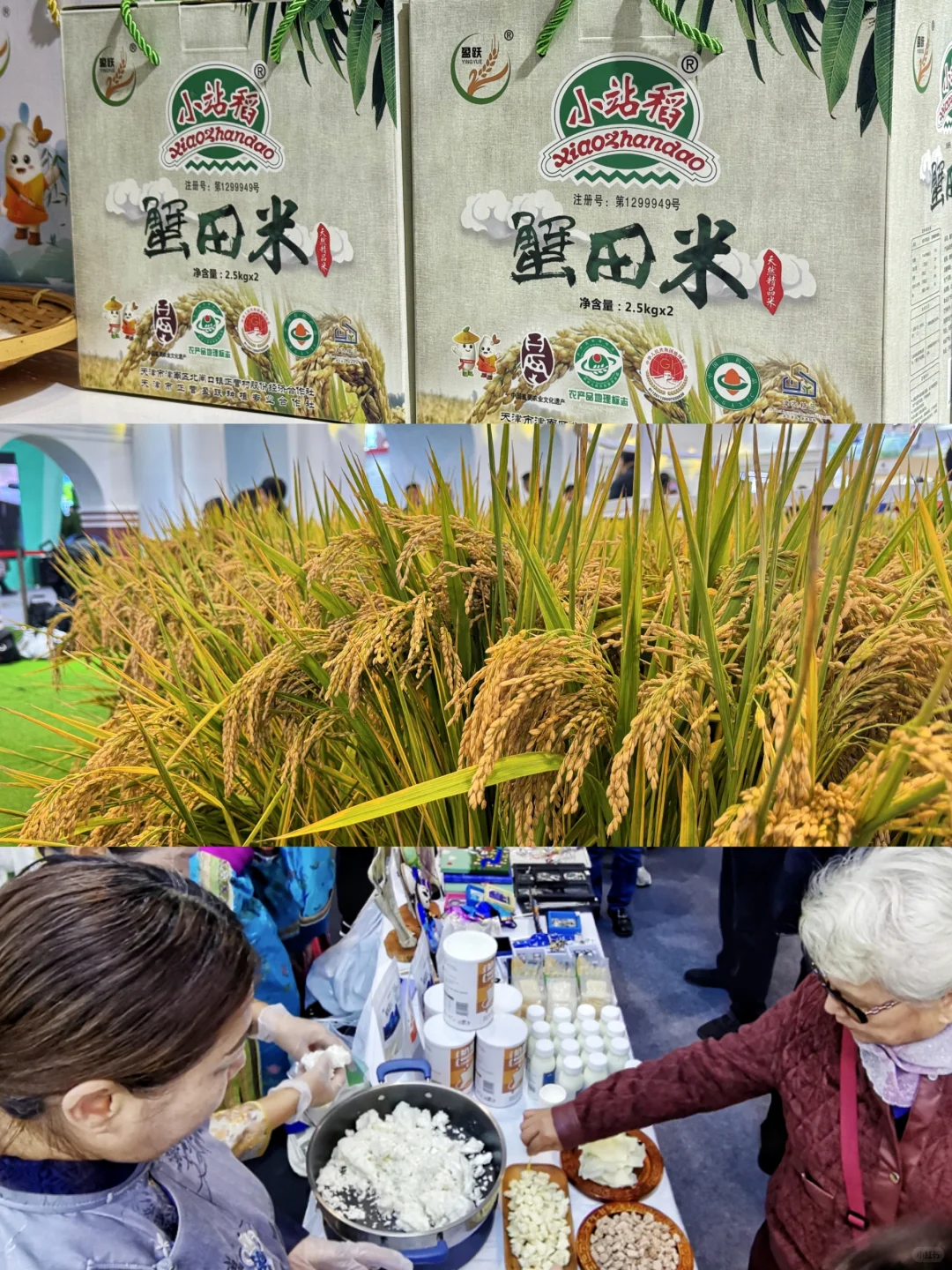 有谁还没去?天津人的朋友圈被农交会刷屏了