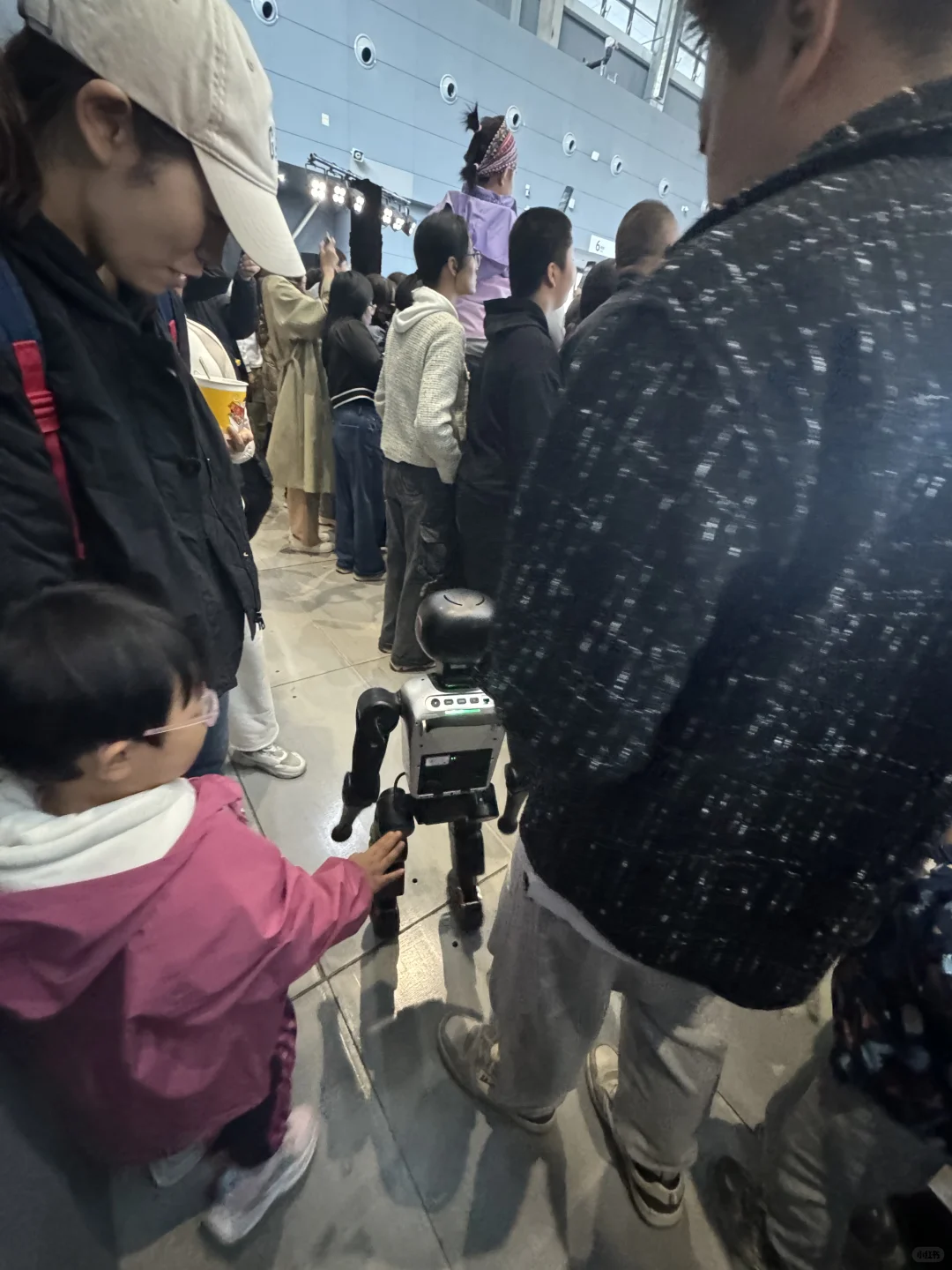 狠狠避雷！！