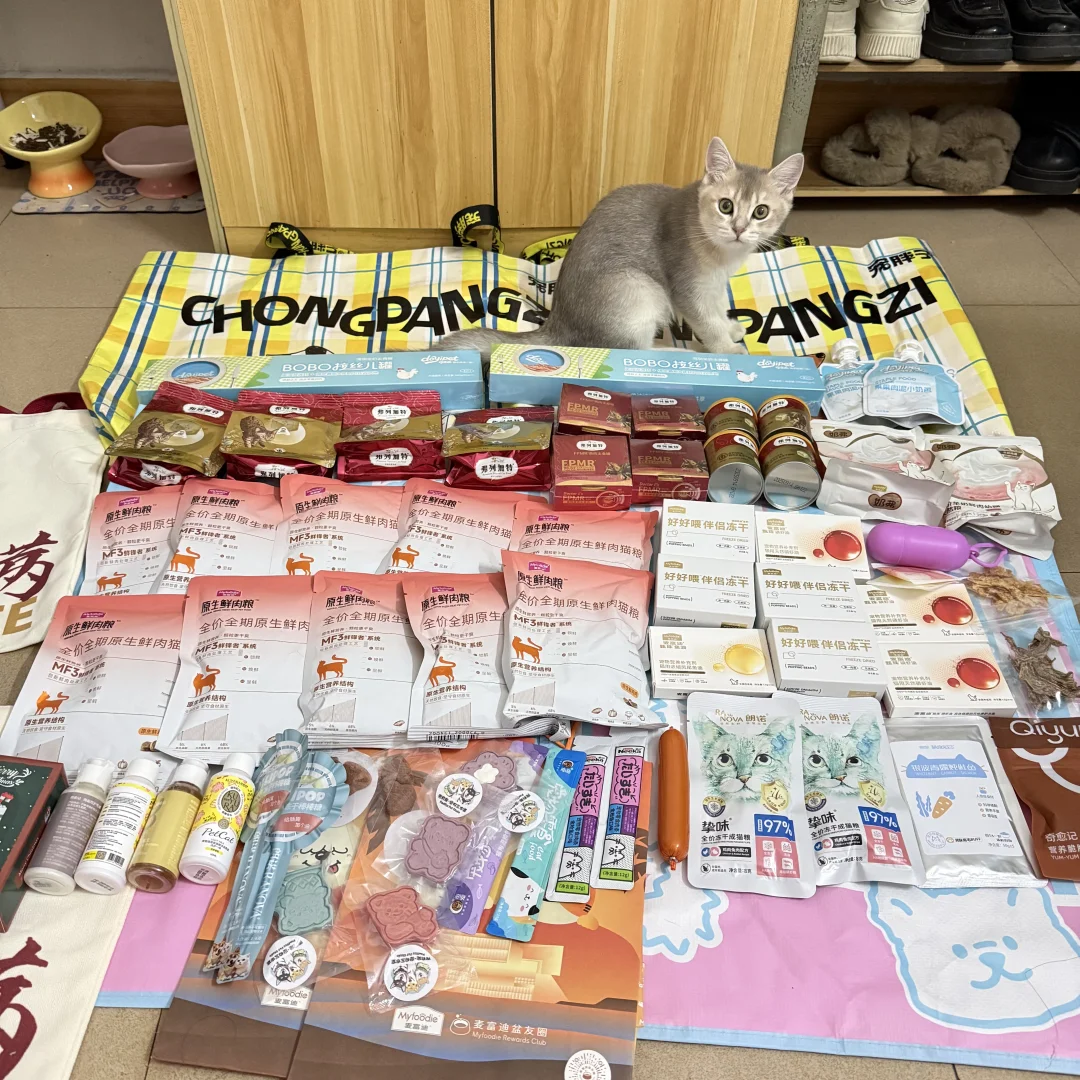 深圳宠物展最新战况?
