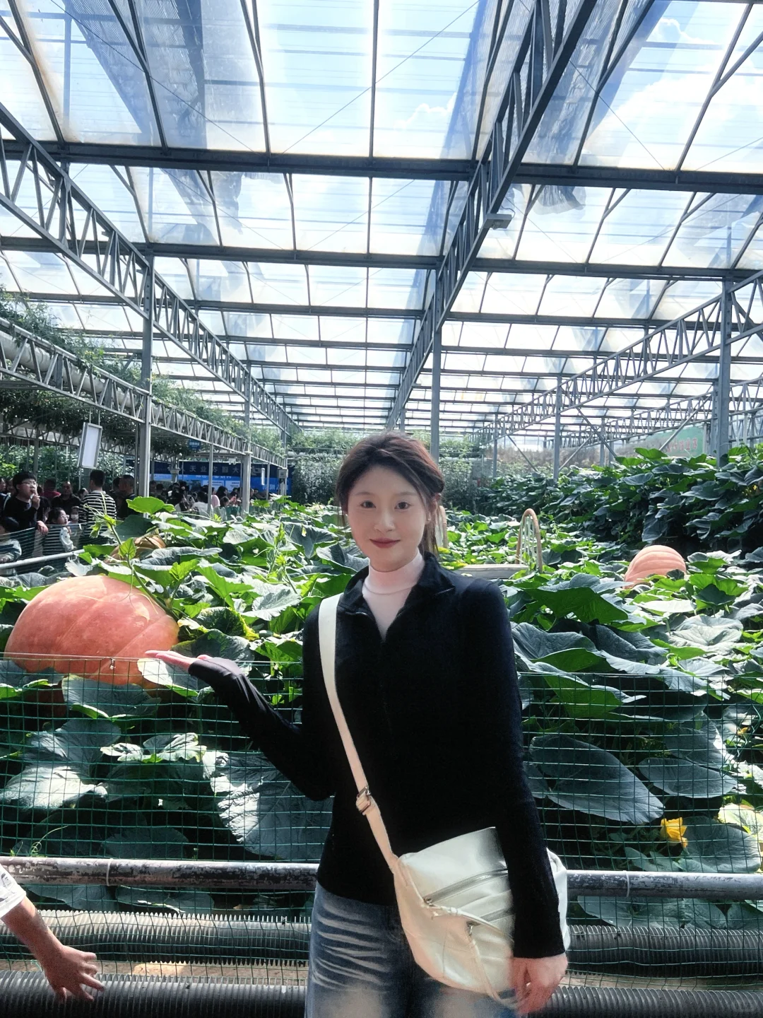 ?2025年 寿光菜博会～ 来打卡咯