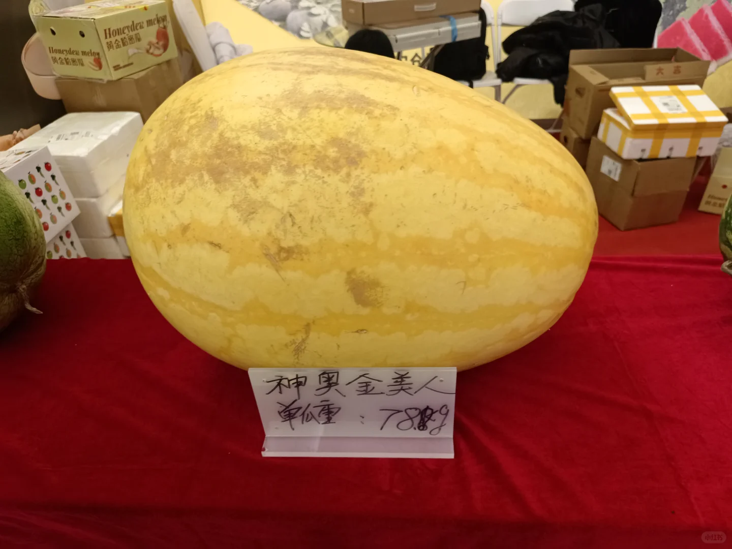 天津的农业展~很有趣
