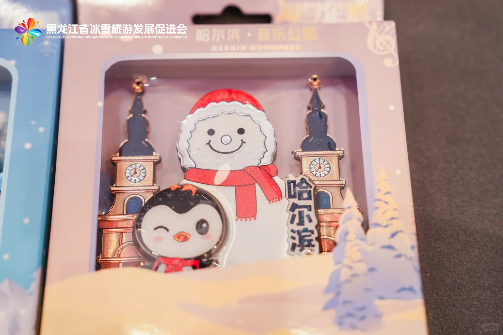 海南主持-黑龙江冰雪季推介会