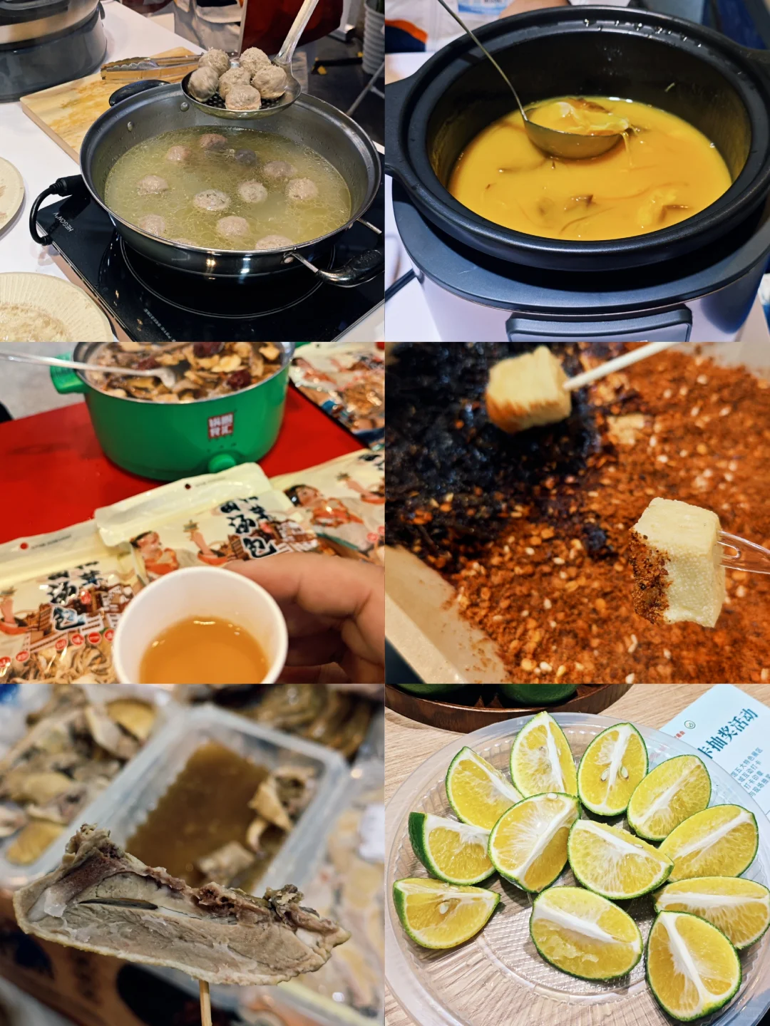 第22届农交会太好玩啦！
