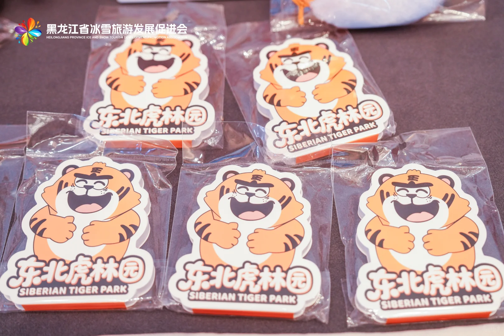 海南主持-黑龙江冰雪季推介会