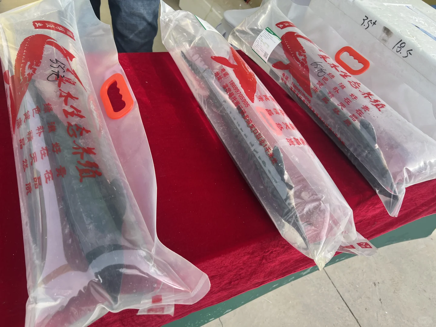 阿克苏偶遇新疆特色果品（阿克苏）交易会