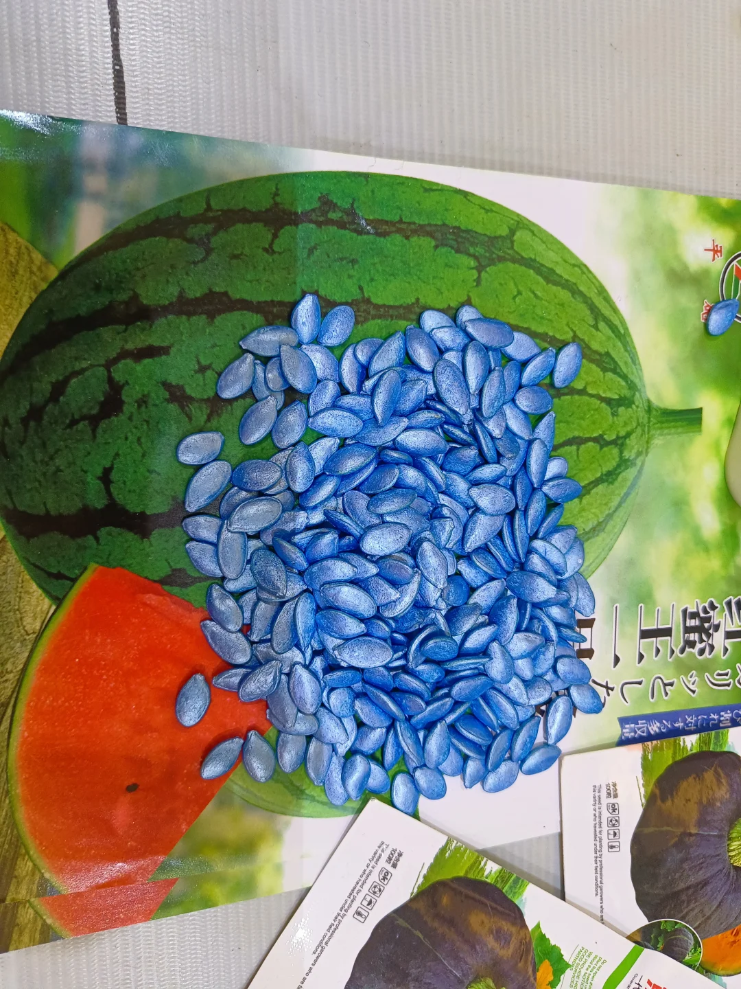 天津的农业展~很有趣