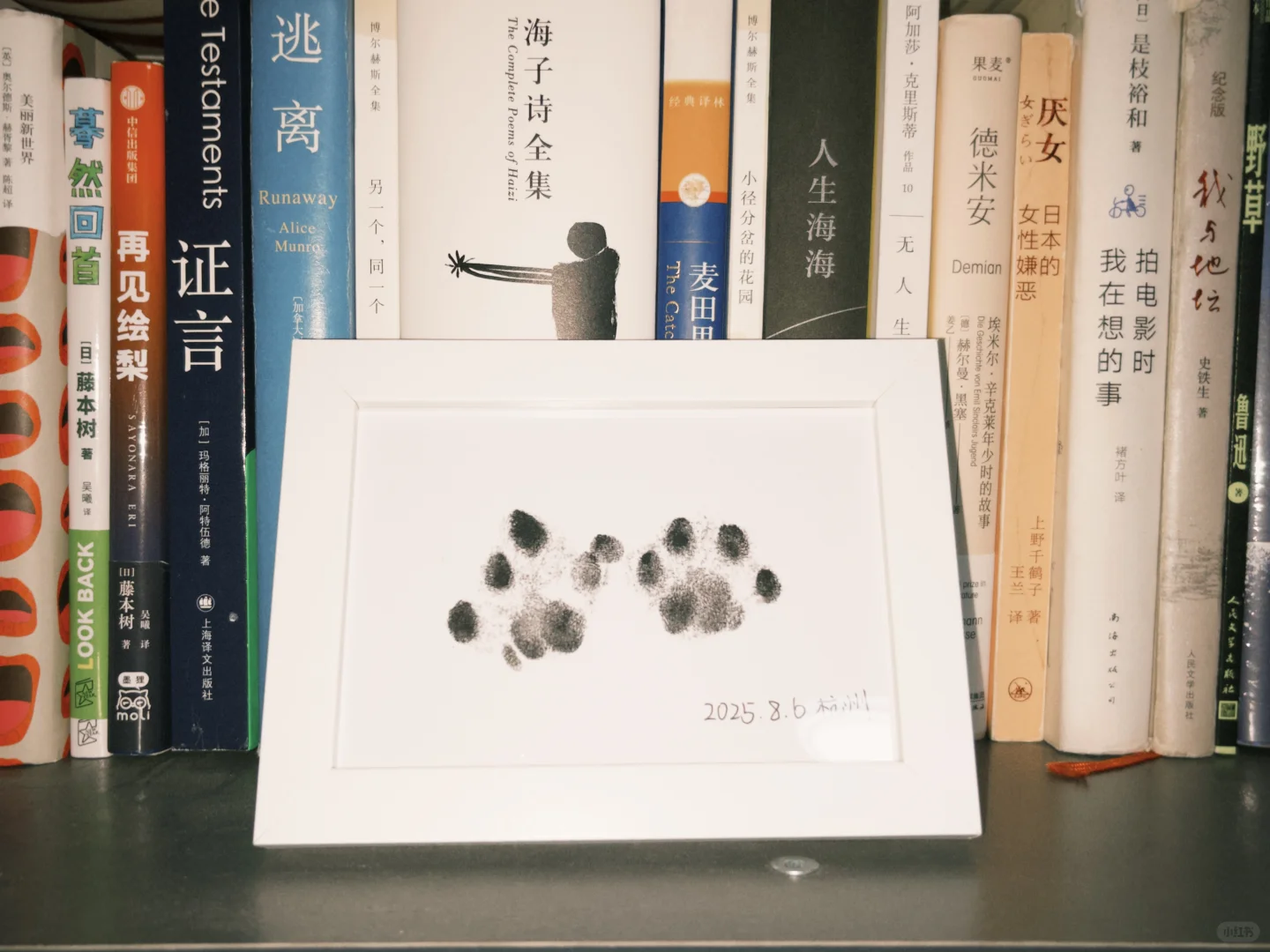 人，咪也能参加设计展吗