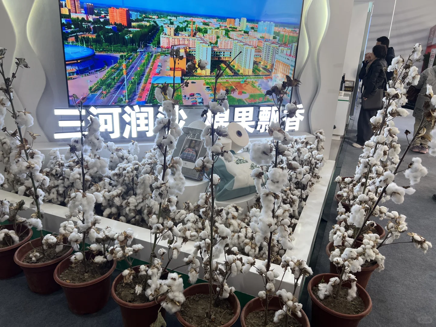 阿克苏偶遇新疆特色果品（阿克苏）交易会