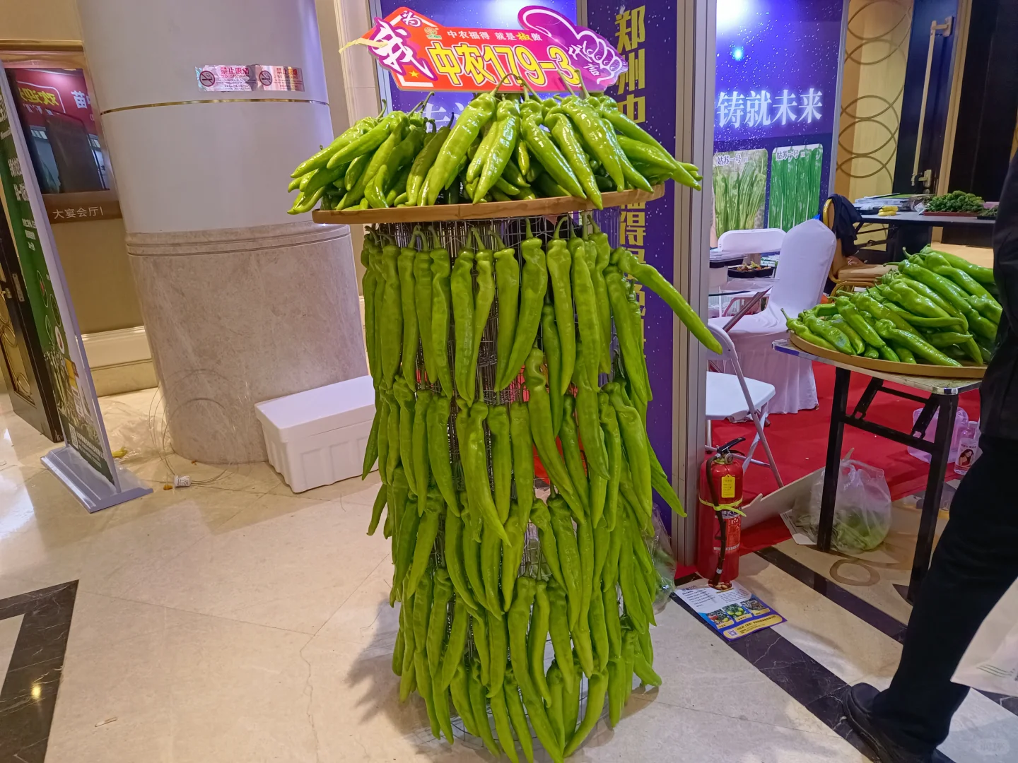 天津的农业展~很有趣