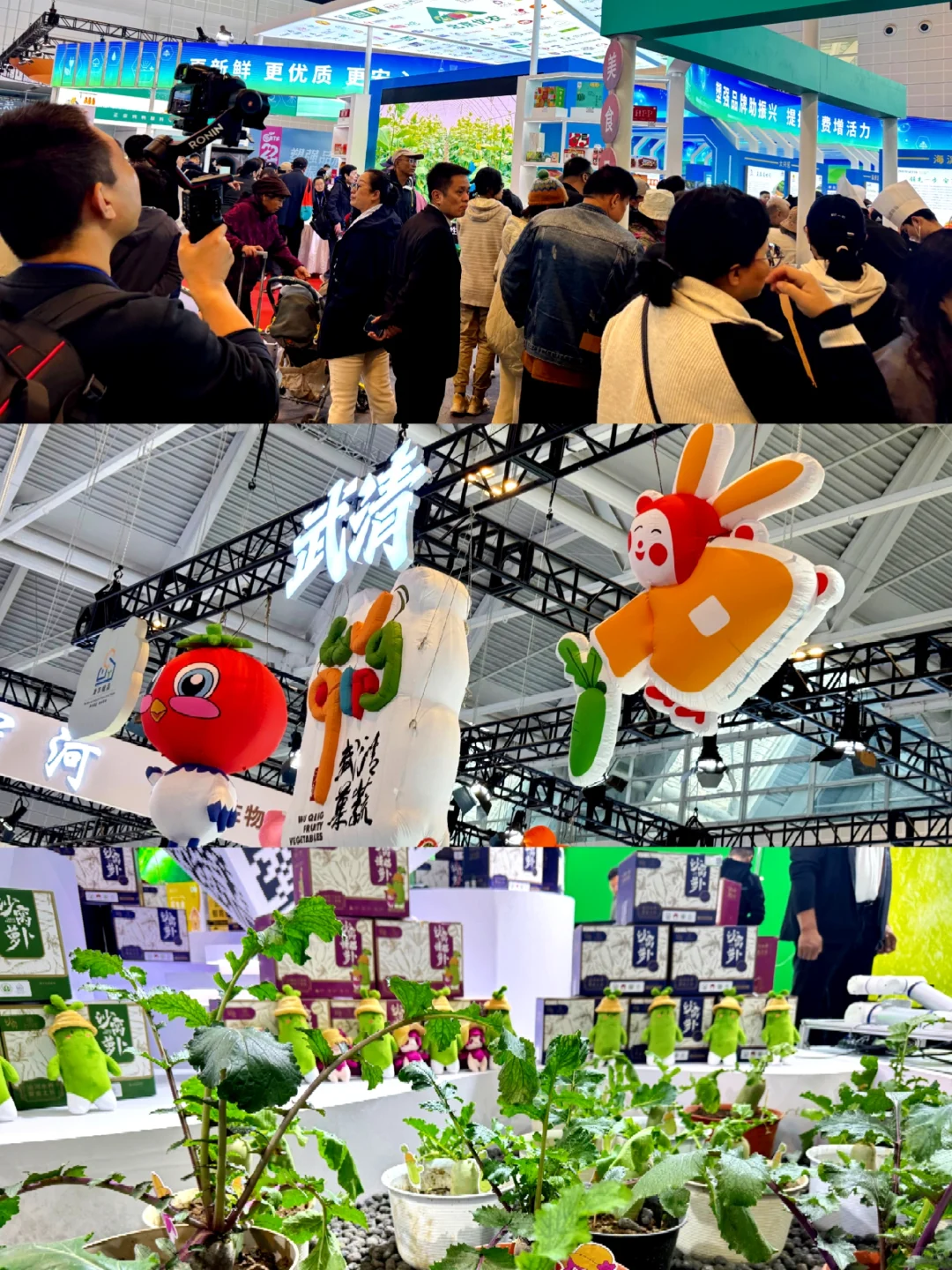 连续三天逛农交会,实现津农精品不是梦!
