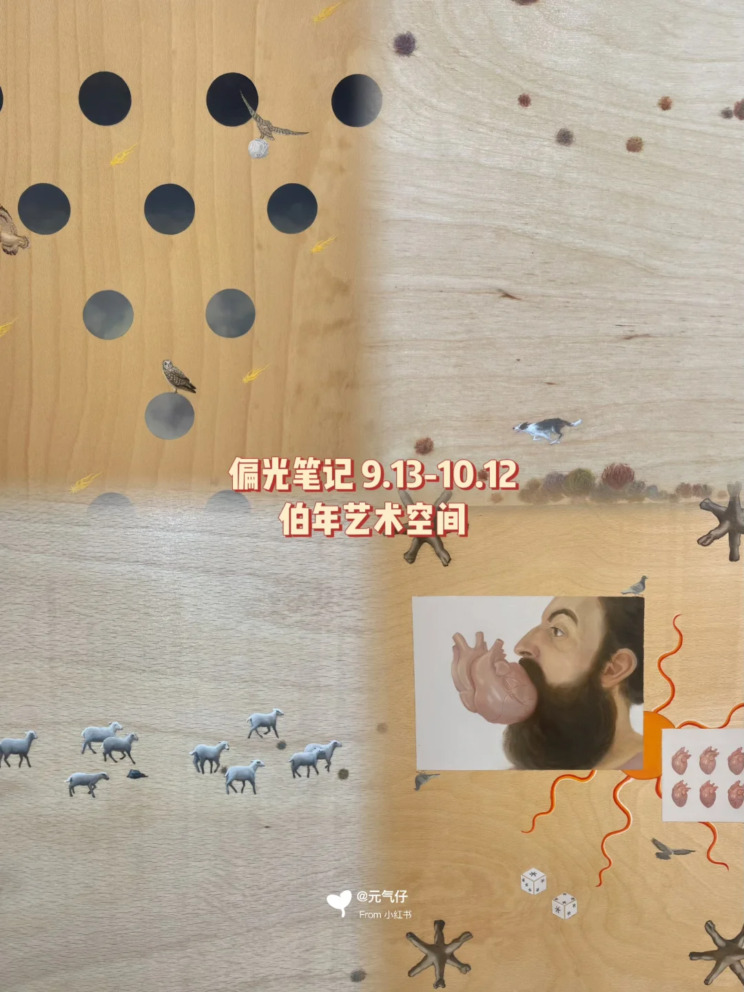 北京798十月免费展✔️更新咯❗(附地图)