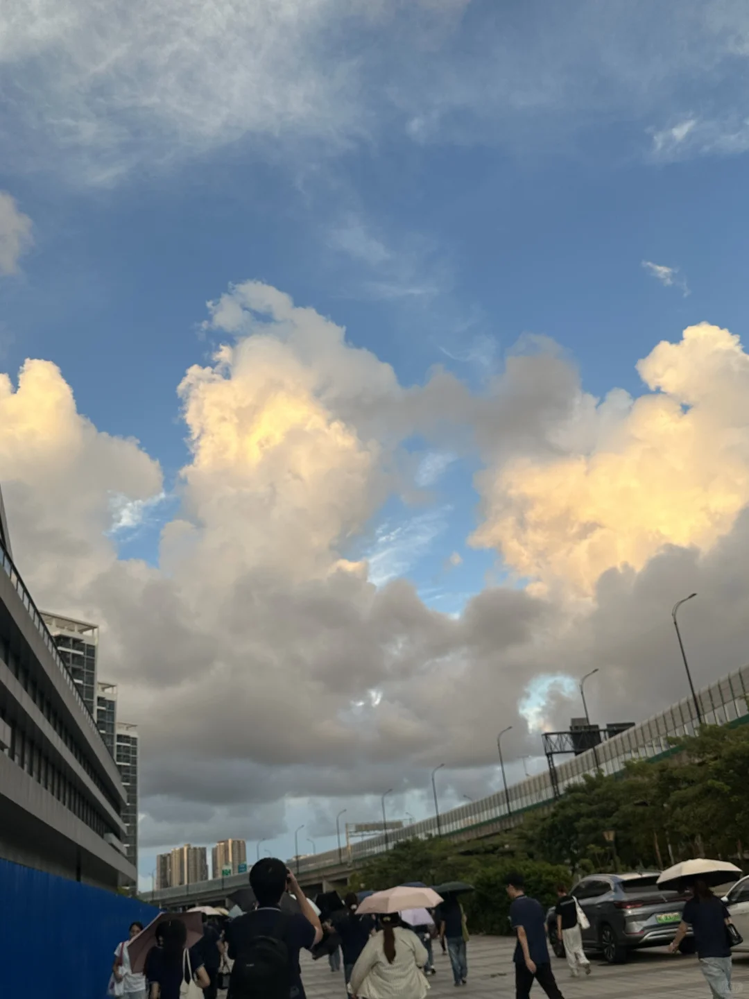 广交会 这个紫色很漂亮哇！?