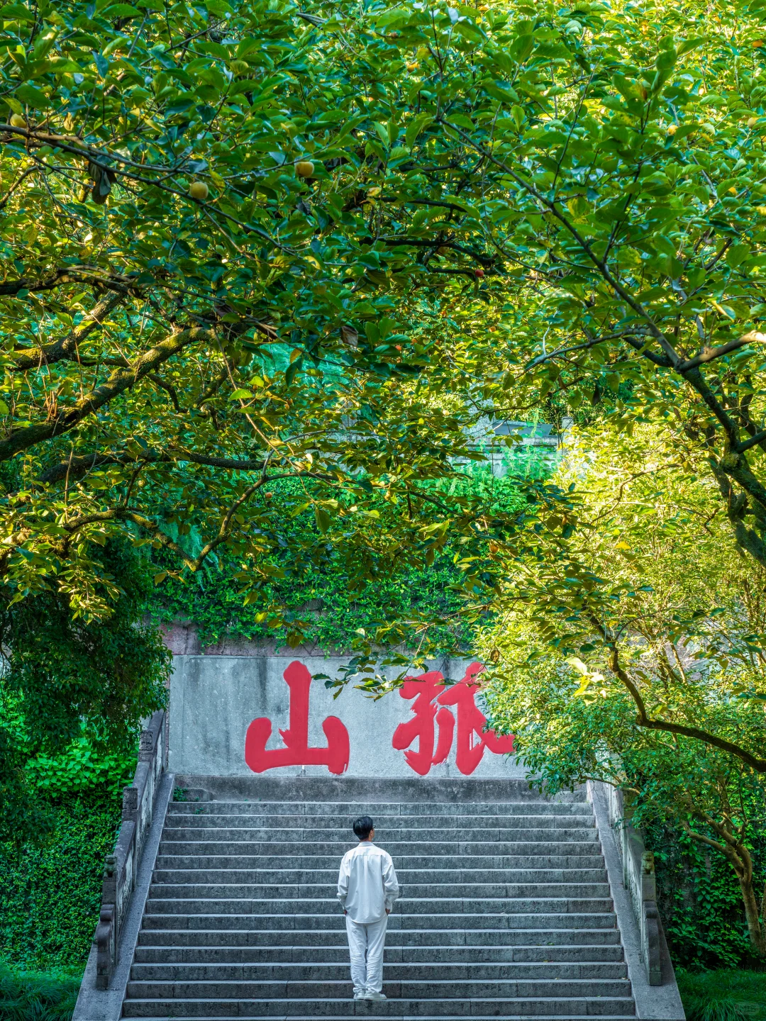 为了这1️⃣8️⃣张图,我特意去了一趟杭州?