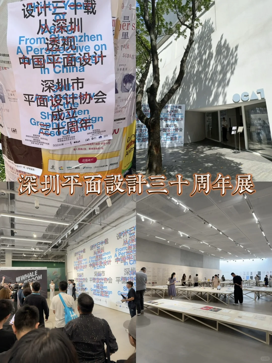 从深圳平面设计三十周年展学设计✨