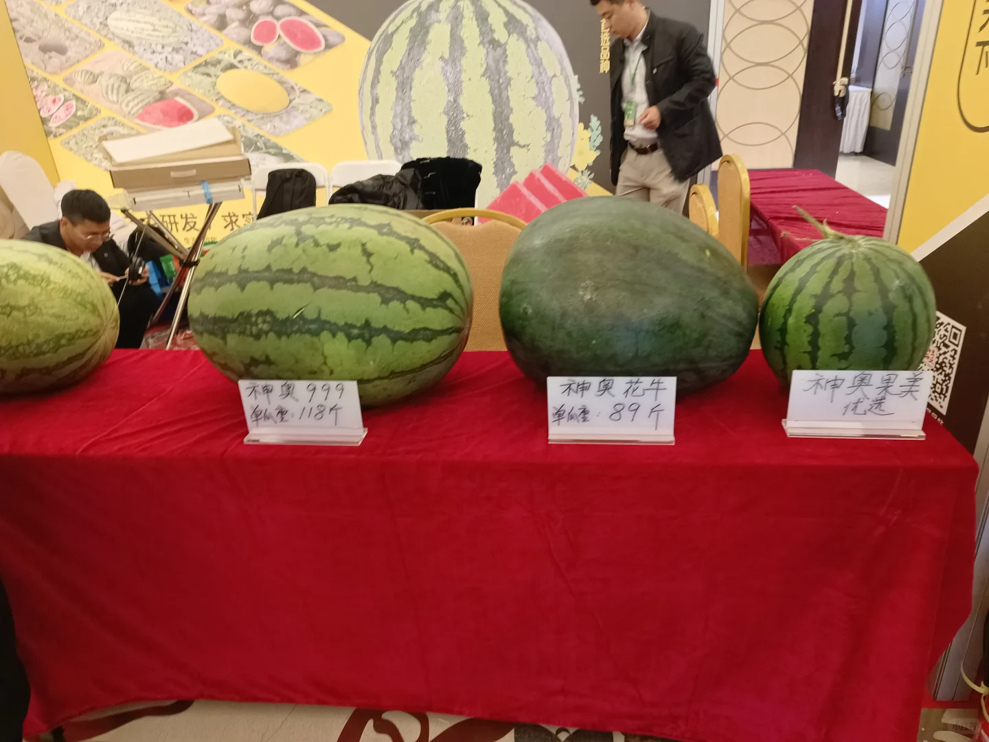 天津的农业展~很有趣