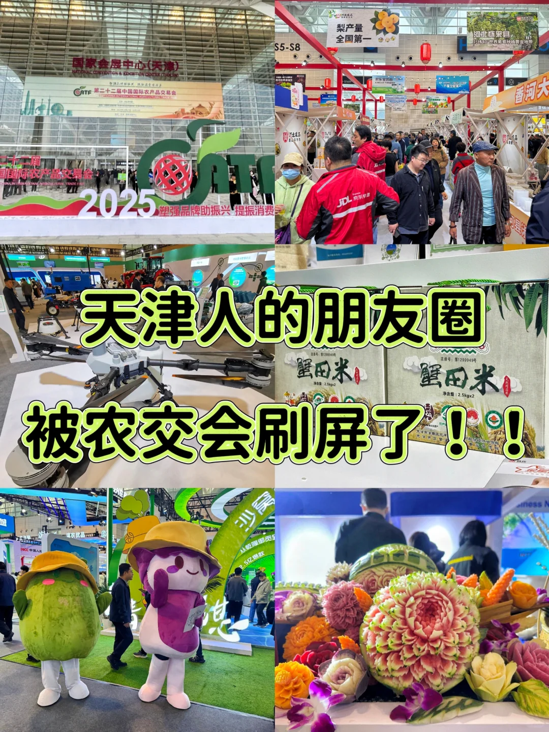 有谁还没去?天津人的朋友圈被农交会刷屏了