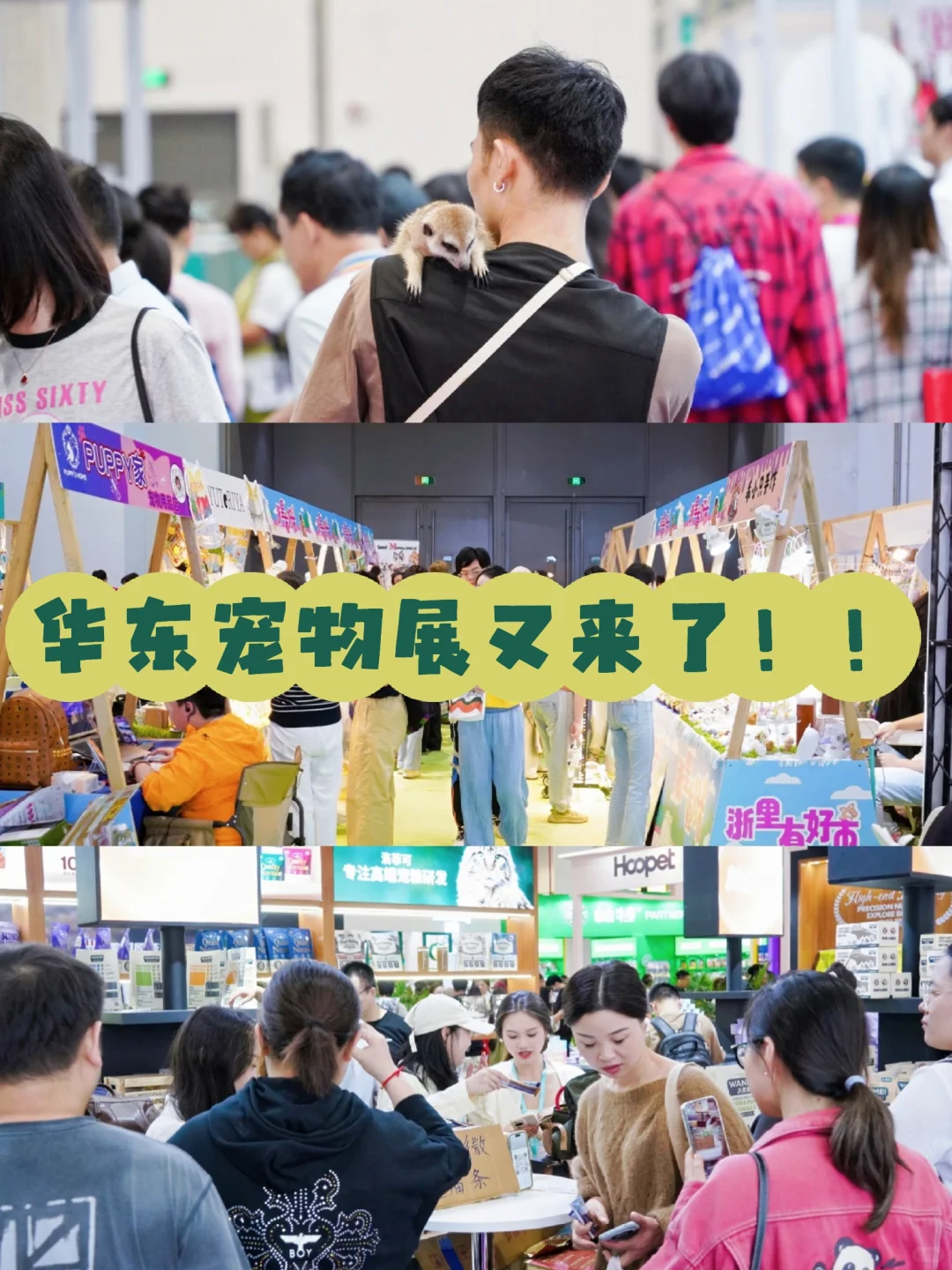 2025.10月杭州宠展预警！铲?官们必冲‼️
