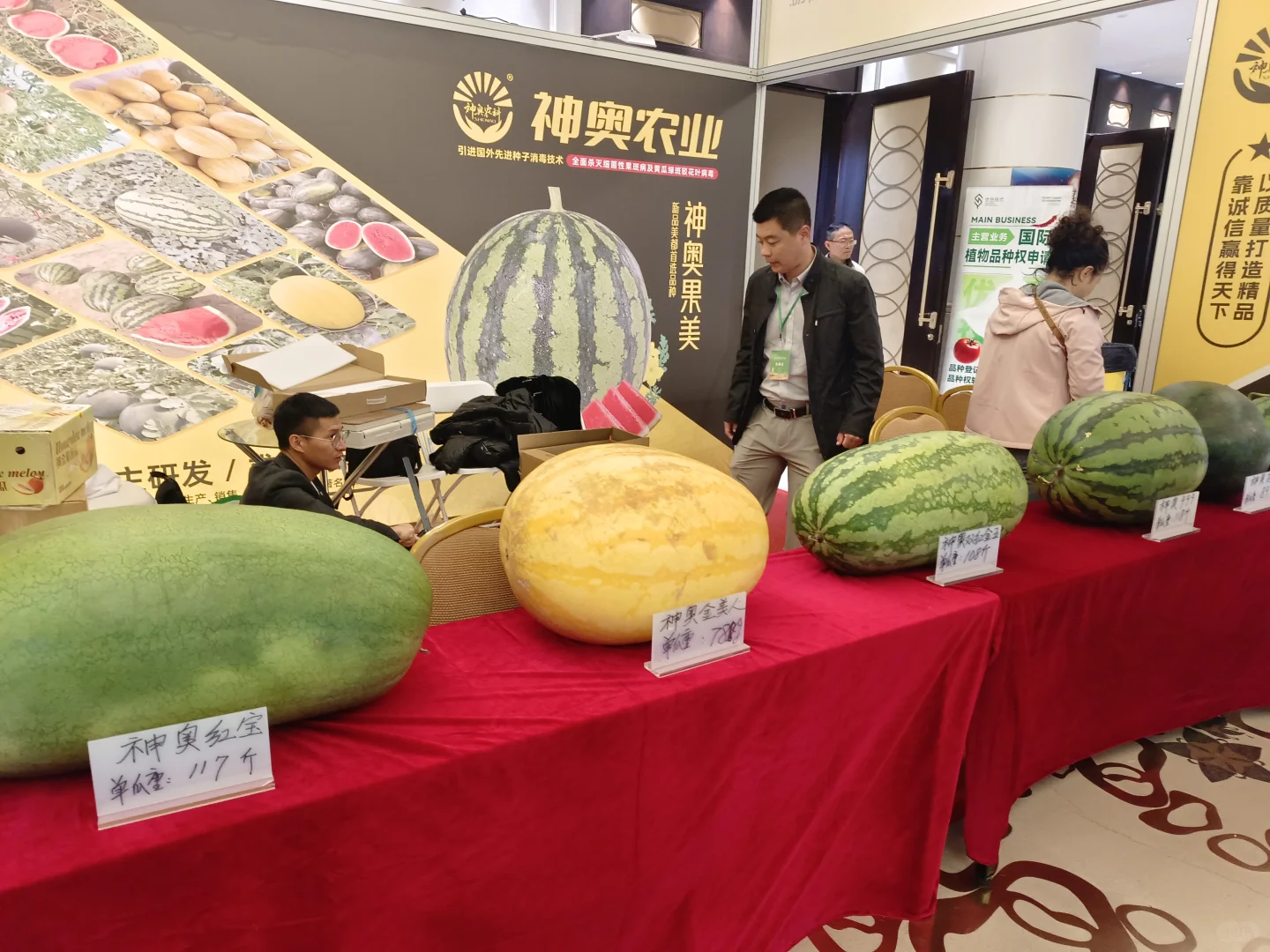 天津的农业展~很有趣