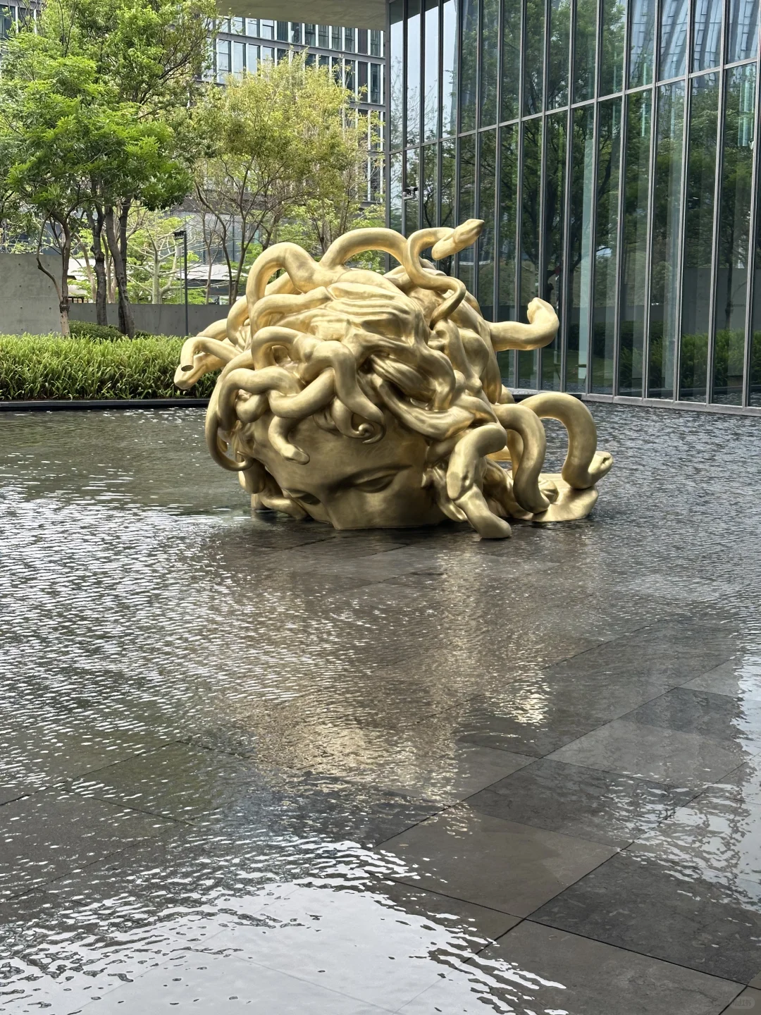 属于佛山自己的巨人展,有被震撼到.
