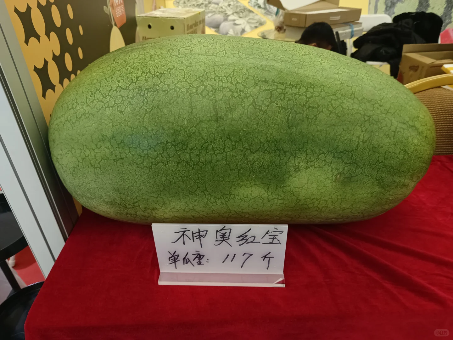 天津的农业展~很有趣