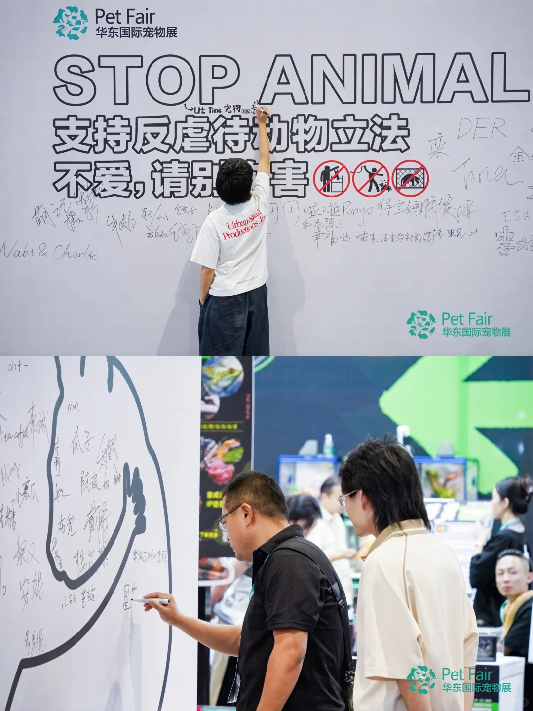 华东宠物展深度攻略｜不止逛展，更是行业盛