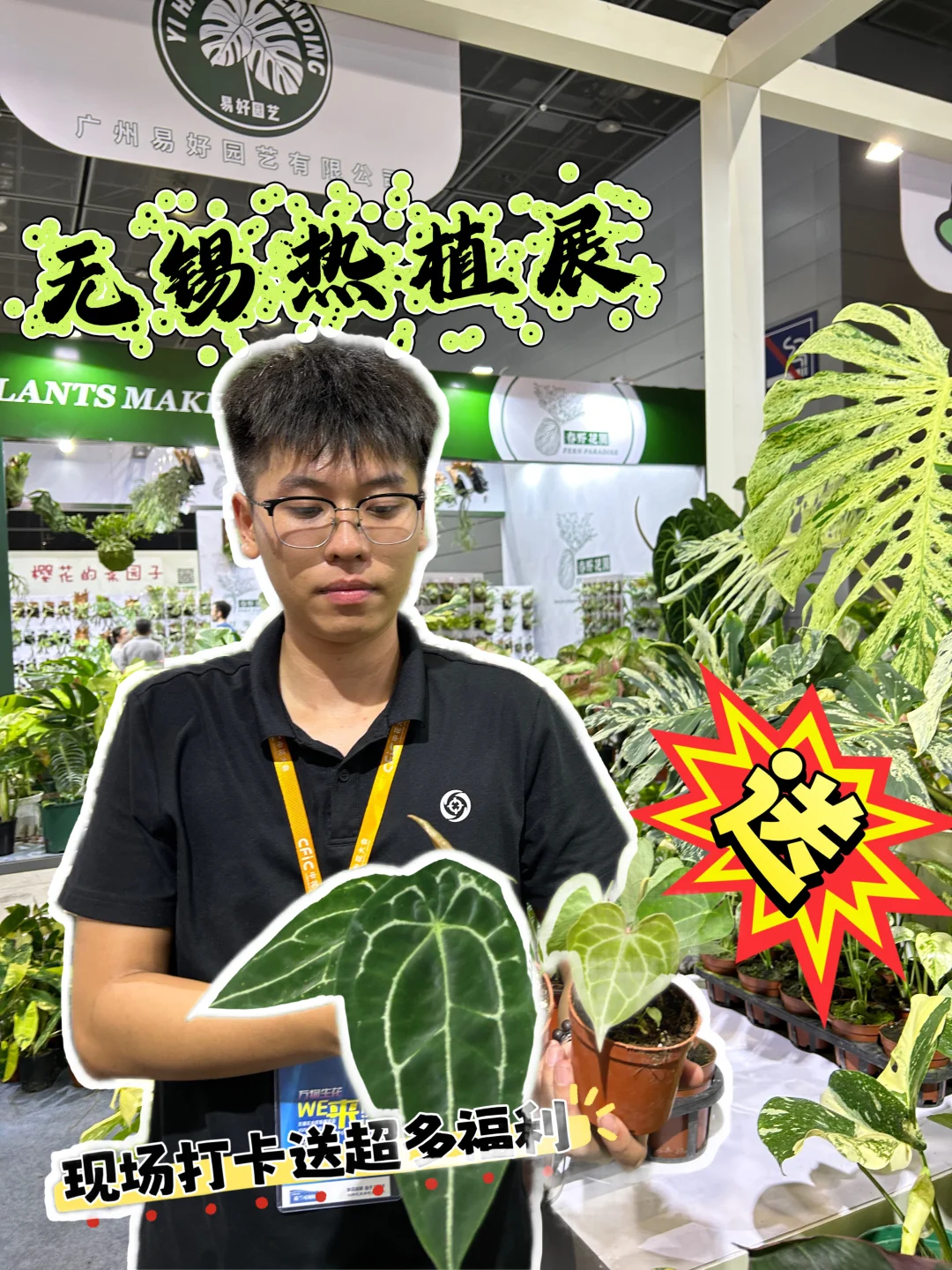 一代人有一代人要领的“鸡蛋”，明天福利开送
