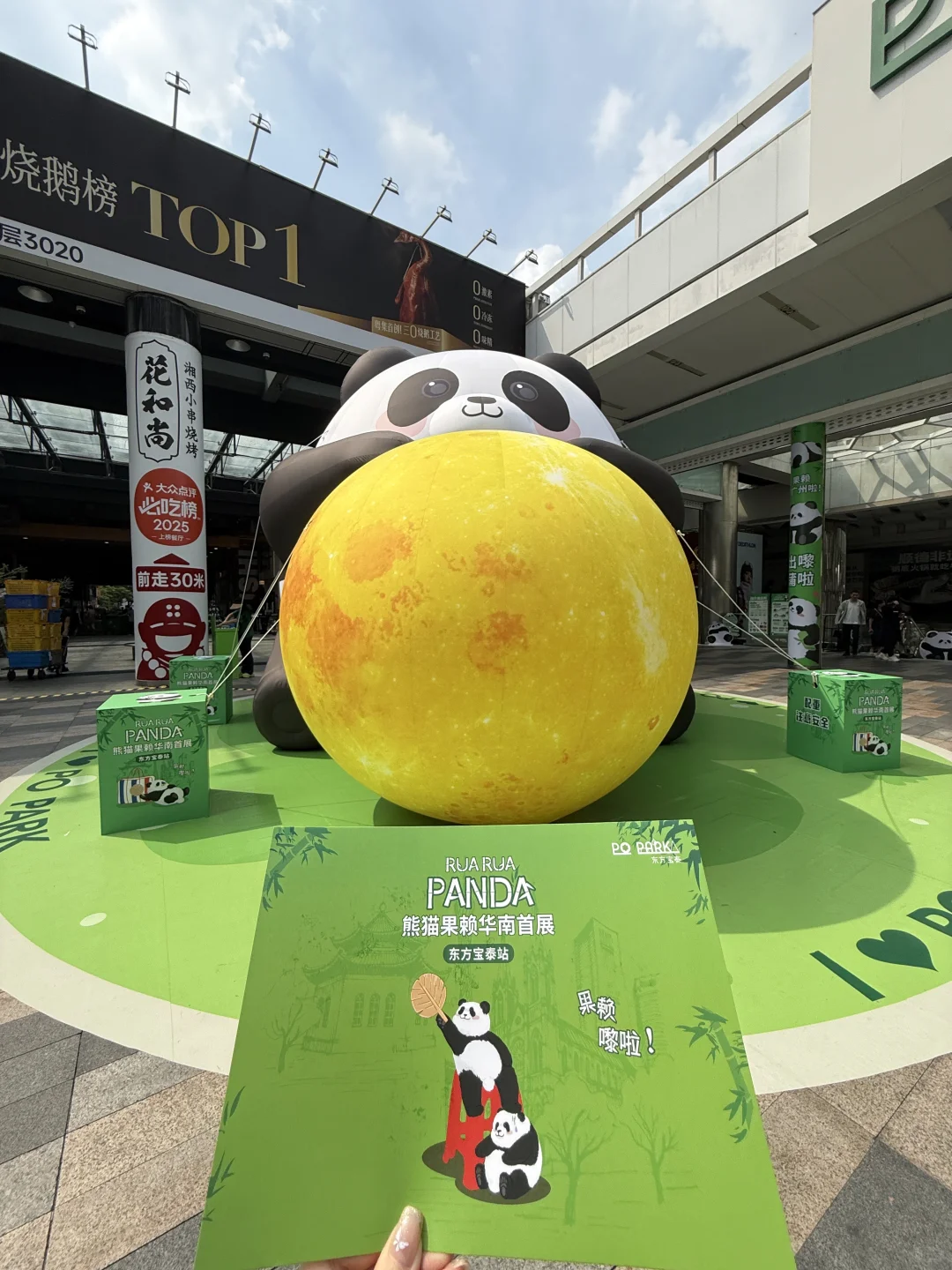 广州新的0r熊猫展！好可爱好好逛！！快去！！