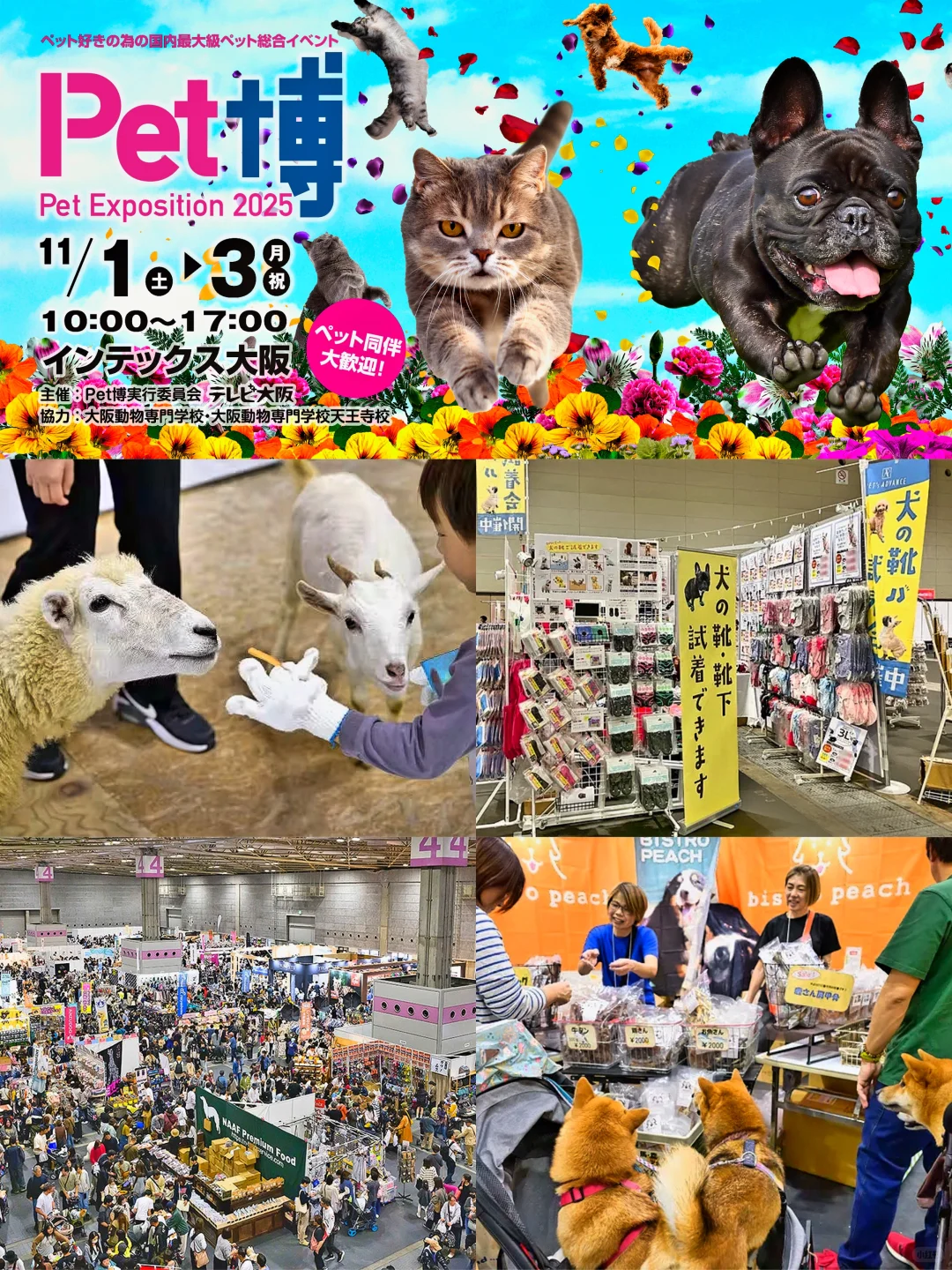 大阪|宠物展会Pet博2025???
